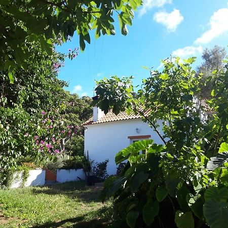 Quinta Algarve Das Relvinhas Monchique Exteriér fotografie