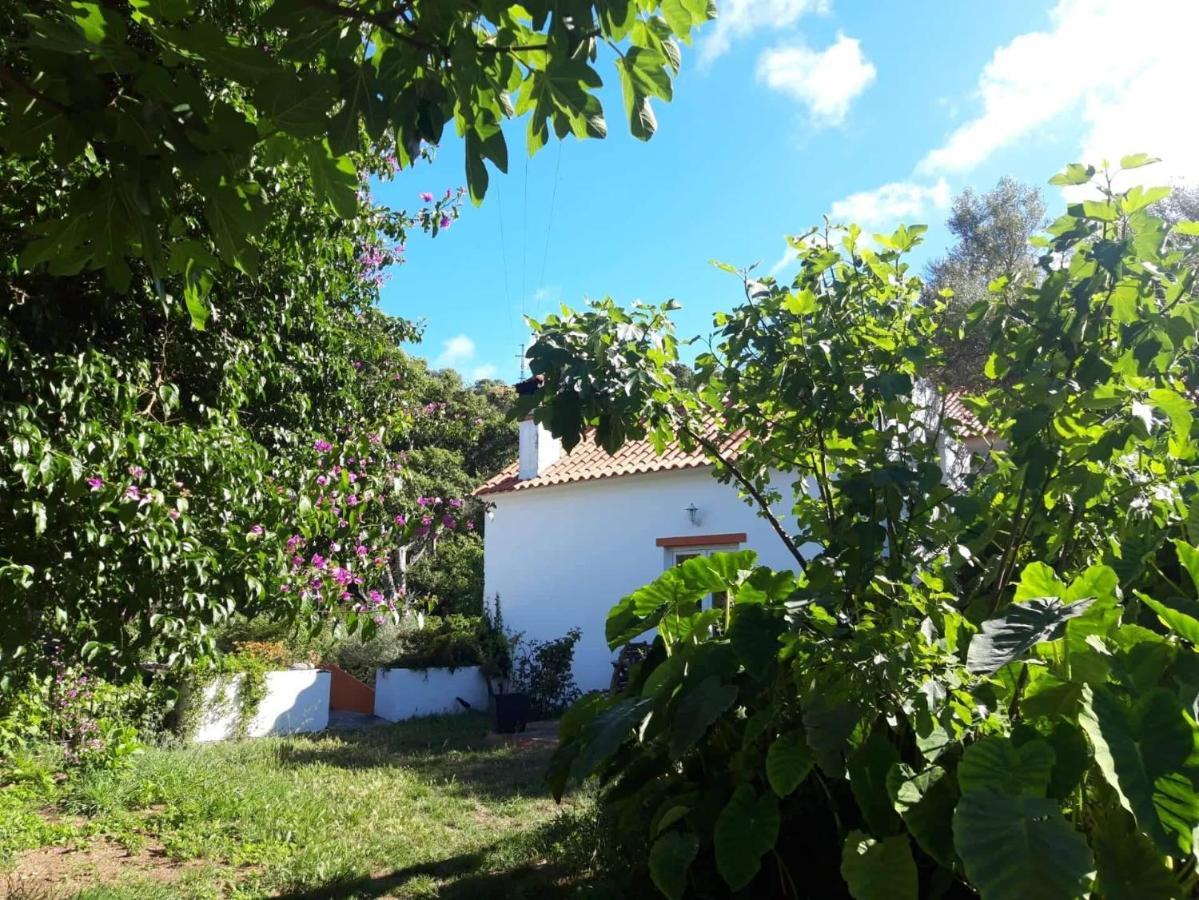 Quinta Algarve Das Relvinhas Monchique Exteriér fotografie