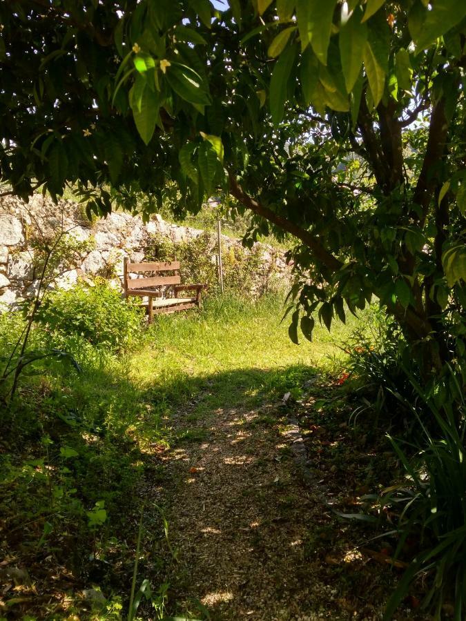 Quinta Algarve Das Relvinhas Monchique Exteriér fotografie