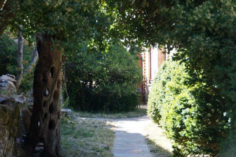 Quinta Algarve Das Relvinhas Monchique Exteriér fotografie